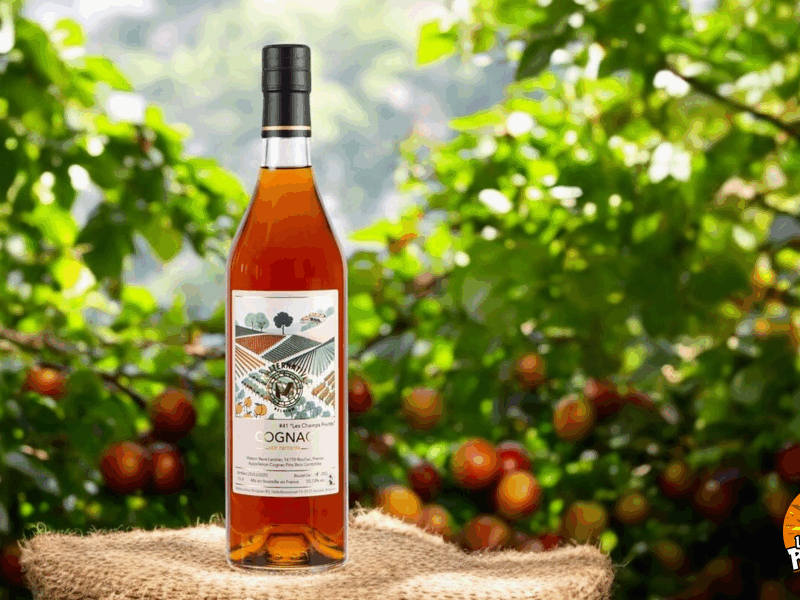cognac #41 « Les Champs Fruités » (Lot 72/73/74 FB)