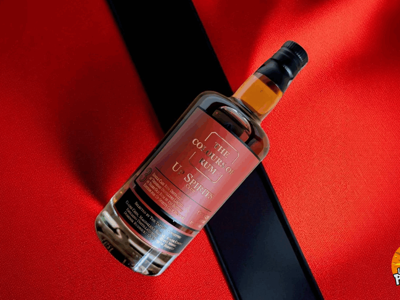 T.D.L 2008 – Up Spirits No. 3