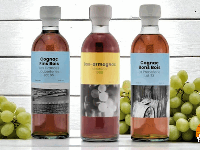 Some Kind Ov Authentic Spirits