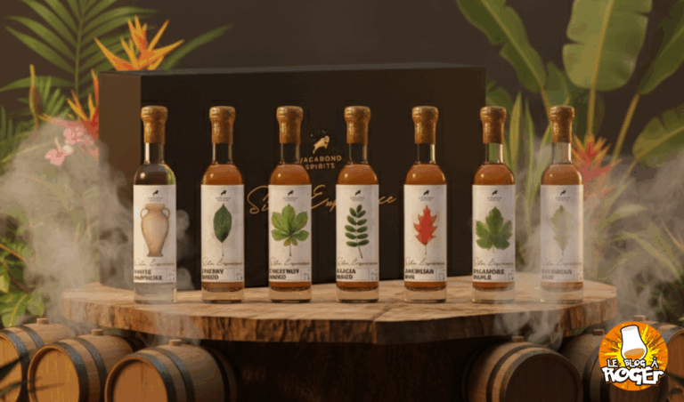 Silva Experience – SVN