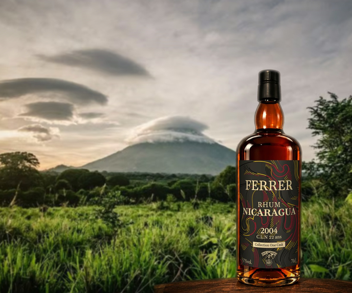 Ferrer – Nicaragua 2004