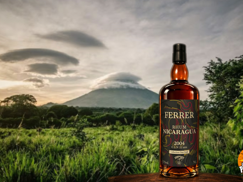 Ferrer – Nicaragua 2004